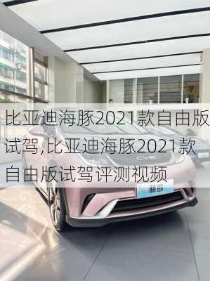 比亚迪海豚2021款自由版试驾,比亚迪海豚2021款自由版试驾评测视频