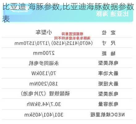 比亚迪 海豚参数,比亚迪海豚数据参数表