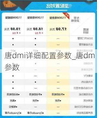 唐dmi详细配置参数_唐dm 参数