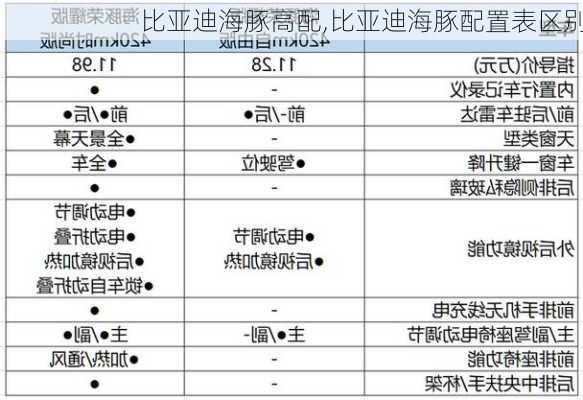 比亚迪海豚高配,比亚迪海豚配置表区别