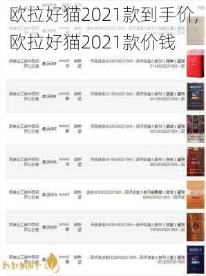 欧拉好猫2021款到手价,欧拉好猫2021款价钱