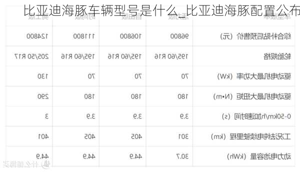 比亚迪海豚车辆型号是什么_比亚迪海豚配置公布