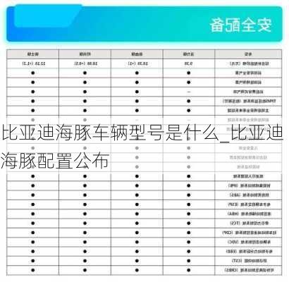 比亚迪海豚车辆型号是什么_比亚迪海豚配置公布