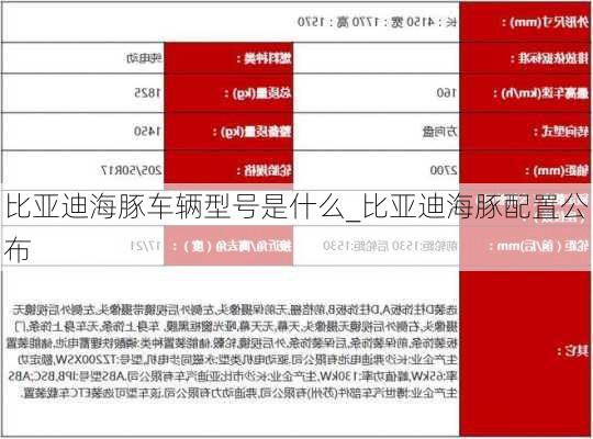 比亚迪海豚车辆型号是什么_比亚迪海豚配置公布