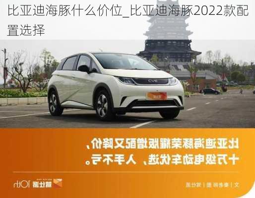 比亚迪海豚什么价位_比亚迪海豚2022款配置选择