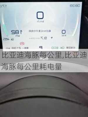 比亚迪海豚每公里,比亚迪海豚每公里耗电量