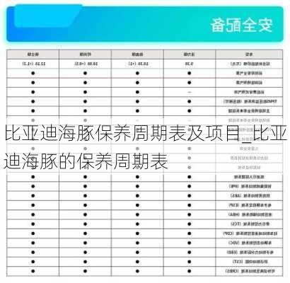 比亚迪海豚保养周期表及项目_比亚迪海豚的保养周期表