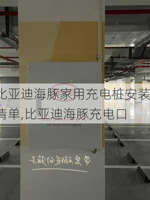 比亚迪海豚家用充电桩安装清单,比亚迪海豚充电口