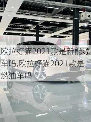 欧拉好猫2021款是新能源车吗,欧拉好猫2021款是燃油车吗