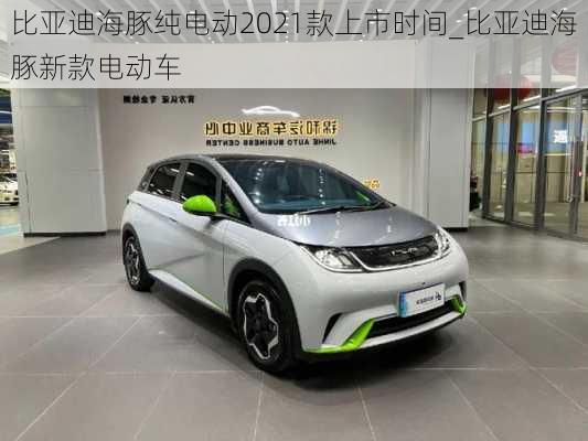 比亚迪海豚纯电动2021款上市时间_比亚迪海豚新款电动车