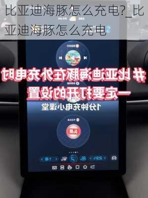 比亚迪海豚怎么充电?_比亚迪海豚怎么充电