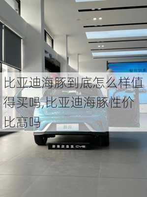 比亚迪海豚到底怎么样值得买吗,比亚迪海豚性价比高吗