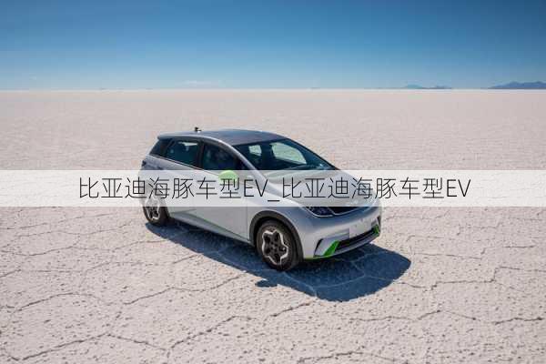 比亚迪海豚车型EV_比亚迪海豚车型EV