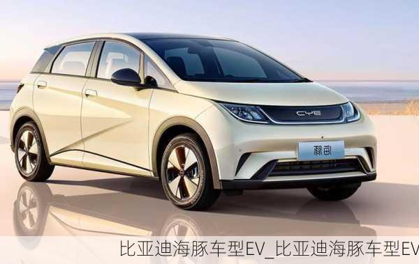 比亚迪海豚车型EV_比亚迪海豚车型EV