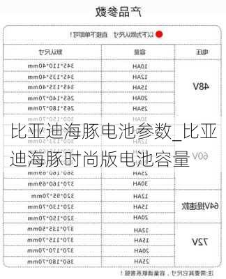 比亚迪海豚电池参数_比亚迪海豚时尚版电池容量