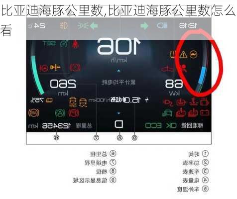 比亚迪海豚公里数,比亚迪海豚公里数怎么看