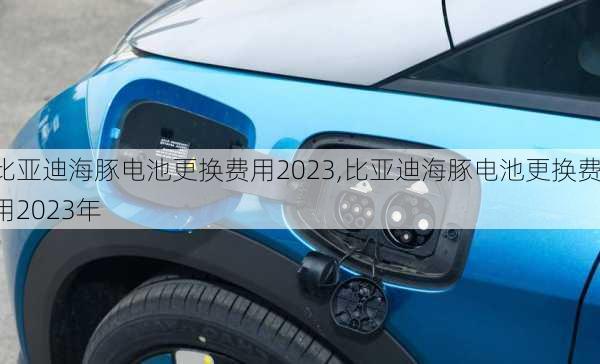 比亚迪海豚电池更换费用2023,比亚迪海豚电池更换费用2023年