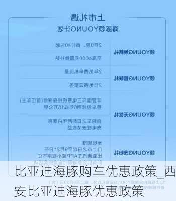 比亚迪海豚购车优惠政策_西安比亚迪海豚优惠政策