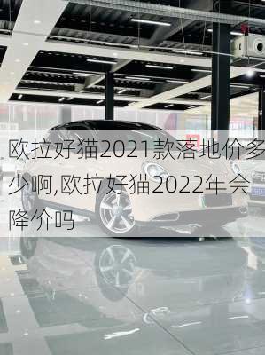 欧拉好猫2021款落地价多少啊,欧拉好猫2022年会降价吗