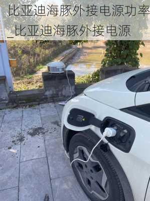 比亚迪海豚外接电源功率_比亚迪海豚外接电源