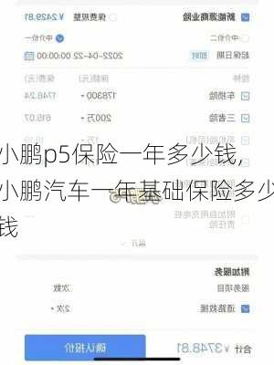 小鹏p5保险一年多少钱,小鹏汽车一年基础保险多少钱