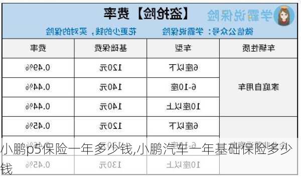 小鹏p5保险一年多少钱,小鹏汽车一年基础保险多少钱