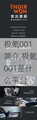 极氪001简介,极氪001是什么平台