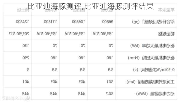 比亚迪海豚测评,比亚迪海豚测评结果