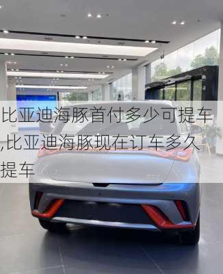 比亚迪海豚首付多少可提车,比亚迪海豚现在订车多久提车