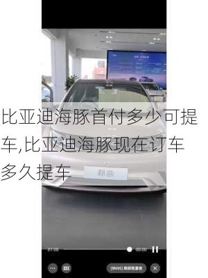 比亚迪海豚首付多少可提车,比亚迪海豚现在订车多久提车