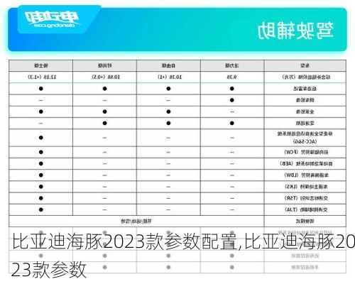 比亚迪海豚2023款参数配置,比亚迪海豚2023款参数