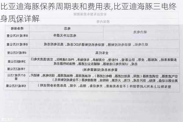 比亚迪海豚保养周期表和费用表,比亚迪海豚三电终身质保详解