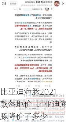 比亚迪海豚2021款落地价_比亚迪海豚降价了多少