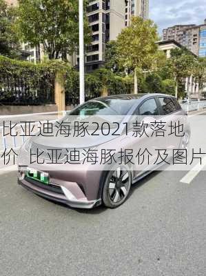 比亚迪海豚2021款落地价_比亚迪海豚报价及图片