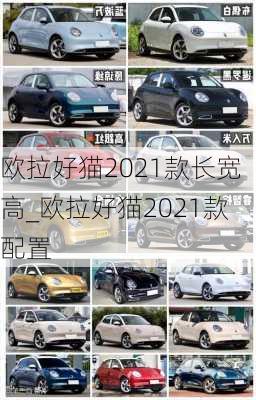 欧拉好猫2021款长宽高_欧拉好猫2021款配置