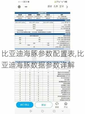 比亚迪海豚参数配置表,比亚迪海豚数据参数详解