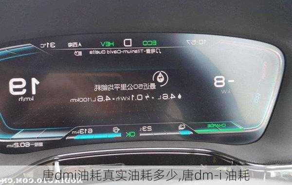 唐dmi油耗真实油耗多少,唐dm-i 油耗