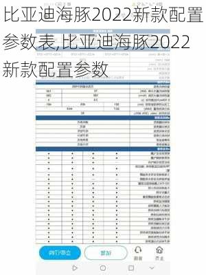 比亚迪海豚2022新款配置参数表,比亚迪海豚2022新款配置参数