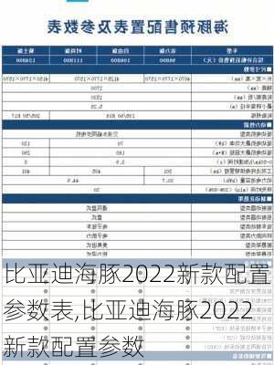 比亚迪海豚2022新款配置参数表,比亚迪海豚2022新款配置参数