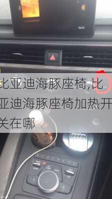 比亚迪海豚座椅,比亚迪海豚座椅加热开关在哪