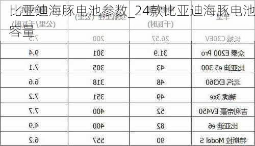 比亚迪海豚电池参数_24款比亚迪海豚电池容量