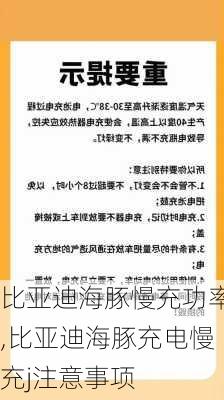 比亚迪海豚慢充功率,比亚迪海豚充电慢充j注意事项