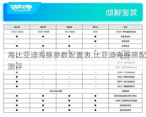 海比亚迪海豚参数配置表,比亚迪海豚顶配测评