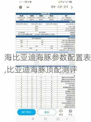 海比亚迪海豚参数配置表,比亚迪海豚顶配测评