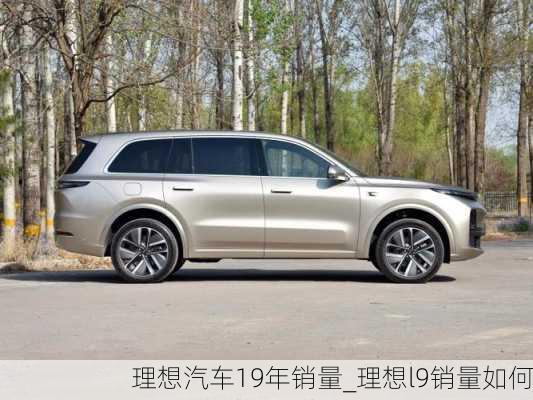 理想汽车19年销量_理想l9销量如何