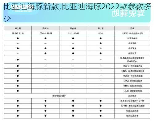 比亚迪海豚新款,比亚迪海豚2022款参数多少