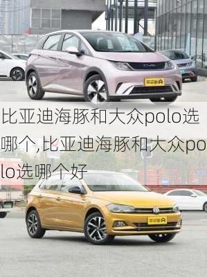 比亚迪海豚和大众polo选哪个,比亚迪海豚和大众polo选哪个好