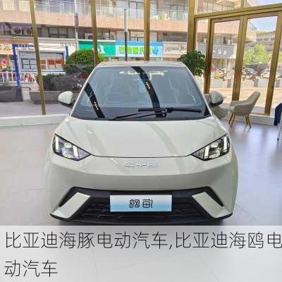 比亚迪海豚电动汽车,比亚迪海鸥电动汽车