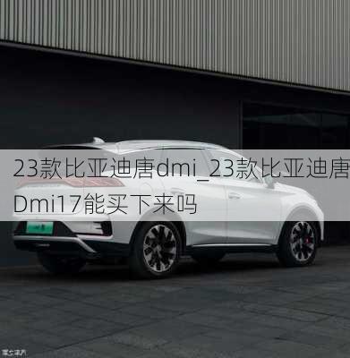 23款比亚迪唐dmi_23款比亚迪唐Dmi17能买下来吗