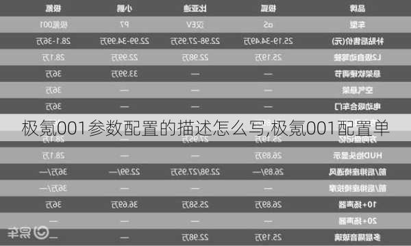 极氪001参数配置的描述怎么写,极氪001配置单